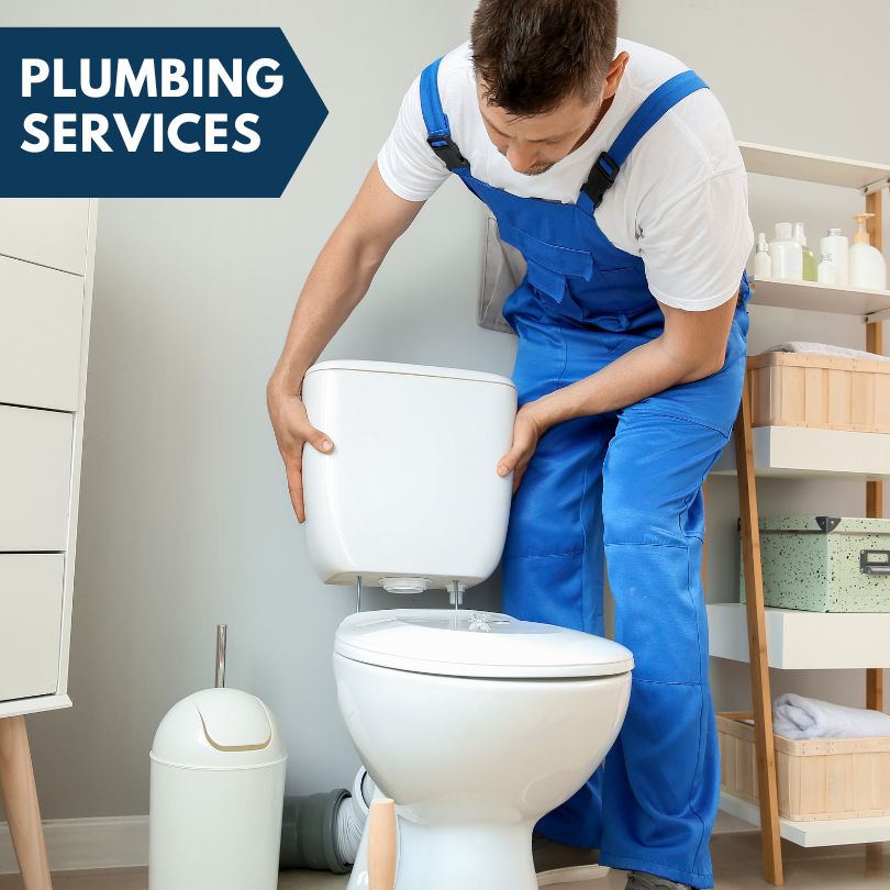 Plumbing Company in Constantine, MI